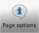 Page_Options_icon.png